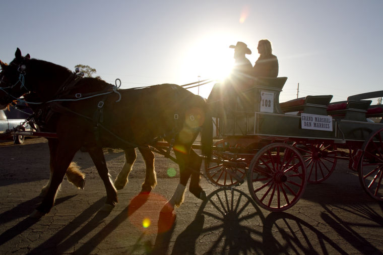 Tucson Rodeo Parade 2014